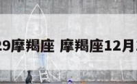 12.29摩羯座 摩羯座12月29号