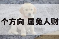 属兔财运在哪个方向 属兔人财运在哪个方向