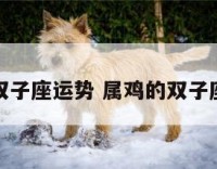 鼠年属鸡双子座运势 属鸡的双子座男生运势