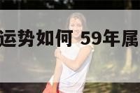 59年属猪运势如何 59年属猪人2022年运势