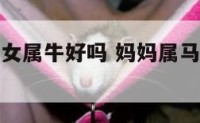 妈妈属马儿女属牛好吗 妈妈属马女儿属牛合不合