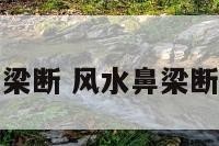 面相鼻梁断 风水鼻梁断了吉凶