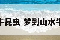 梦到山水牛昆虫 梦到山水牛昆虫在爬
