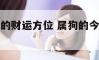 属狗人今天的财运方位 属狗的今天财运方位是哪方位