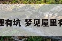 梦见卧室理有坑 梦见屋里有坑啥意思