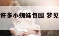 梦到身体被许多小蜘蛛包围 梦见被很多蜘蛛包围