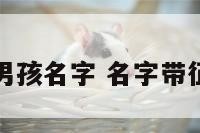 带征的男孩名字 名字带征好不好