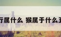 猴肖五行属什么 猴属于什么五行属性