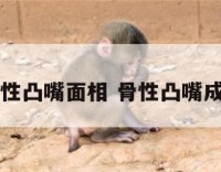 骨性凸嘴面相 骨性凸嘴成因