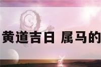 属马本月黄道吉日 属马的黄道吉日