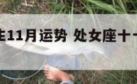 处女座女生11月运势 处女座十一月份的运势