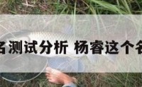 杨睿声姓名测试分析 杨睿这个名字的含义