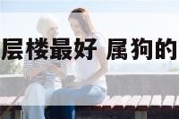 属狗的买房几层楼最好 属狗的买房子买几楼最好