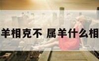属羊相克不 属羊什么相克