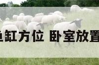 卧室摆放鱼缸方位 卧室放置鱼缸好吗?