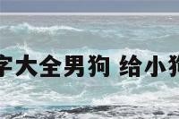 给小狗起名字大全男狗 给小狗狗取名字男