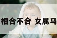 女属马男属鼠相合不合 女属马男鼠婚配如何