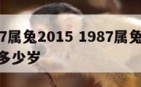 1987属兔2015 1987属兔2015年多少岁