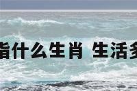 生活多惬意指什么生肖 生活多惬意怎么写