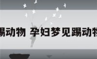 孕妇梦见踢动物 孕妇梦见踢动物什么意思