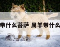 属羊适合带什么菩萨 属羊带什么菩萨保佑