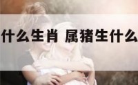 属猪可以生什么生肖 属猪生什么生肖的孩子好