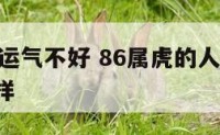 86属虎运气不好 86属虎的人2021运气怎么样