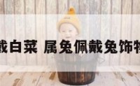 属兔的戴白菜 属兔佩戴兔饰物合适吗