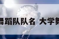 最新大学舞蹈队队名 大学舞蹈队简介