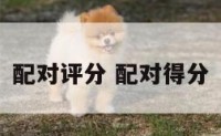 配对评分 配对得分