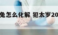 冲太岁属兔怎么化解 犯太岁2020化解属兔