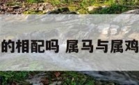 属马和鸡的相配吗 属马与属鸡的相配吗