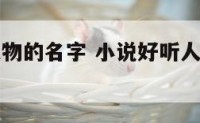 小说好听人物的名字 小说好听人物的名字有哪些
