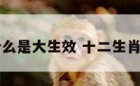 十二生肖什么是大生效 十二生肖中的大生肖