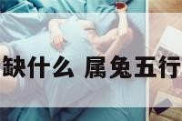 属羊人五行缺什么 属兔五行缺金怎么办