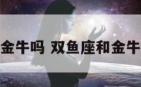 双鱼座陪金牛吗 双鱼座和金牛座搭不搭