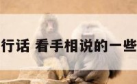 看手相行话 看手相说的一些好听话
