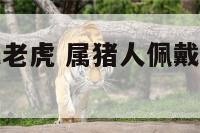 属猪的人佩戴老虎 属猪人佩戴老虎的好处和坏处