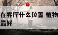 植物应摆放在客厅什么位置 植物应摆放在客厅什么位置最好