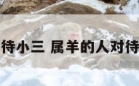 属羊的人对待小三 属羊的人对待感情专一吗