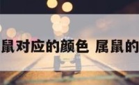 生肖鼠对应的颜色 属鼠的颜色