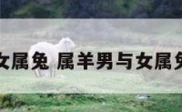 属羊男与女属兔 属羊男与女属兔婚配好吗