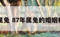 87年属兔 87年属兔的婚姻和命运