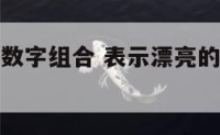 表示漂亮的数字组合 表示漂亮的数字组合图片