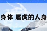 属虎老人今年身体 属虎的人身体今年怎么样