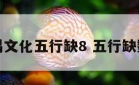 数易文化五行缺8 五行缺数字