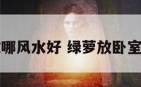 绿萝卧室放哪风水好 绿萝放卧室有什么作用