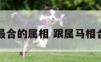 和属马最合的属相 跟属马相合的属相