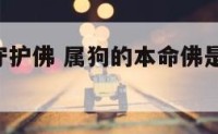 属狗本命守护佛 属狗的本命佛是什么佛,阿弥陀佛