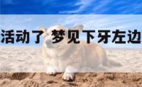 梦到左下牙活动了 梦见下牙左边的掉了一个什么意思